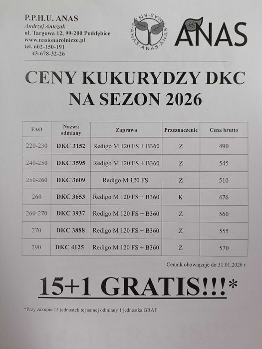 Kukurydza DKC 3595 Najlepsza na najsłabsze!!!
