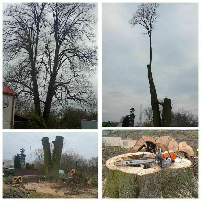 Wycinka drzew, podnośnik koszowy, prace ogrodnicze