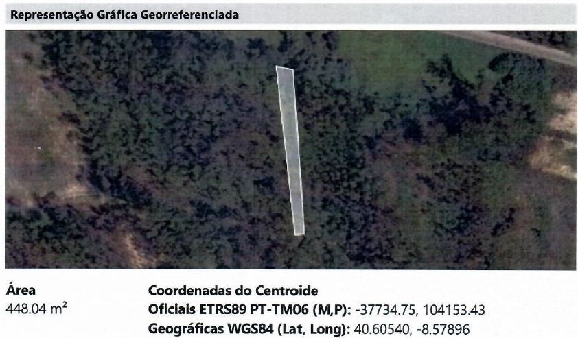 Terreno Rústico em Oliveirinha (Aveiro)