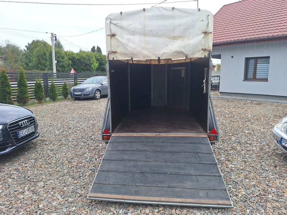 Przyczepa do przewozu koni możliwość zamiany  na auto