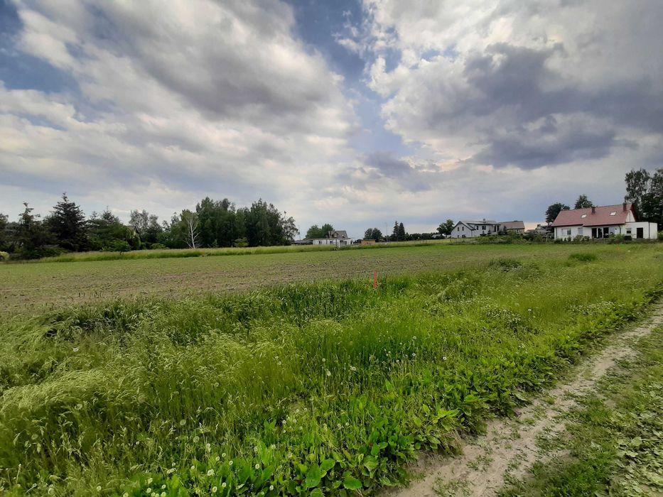 Grzebienisko pow Szamotulski działka budowlana  925 m2