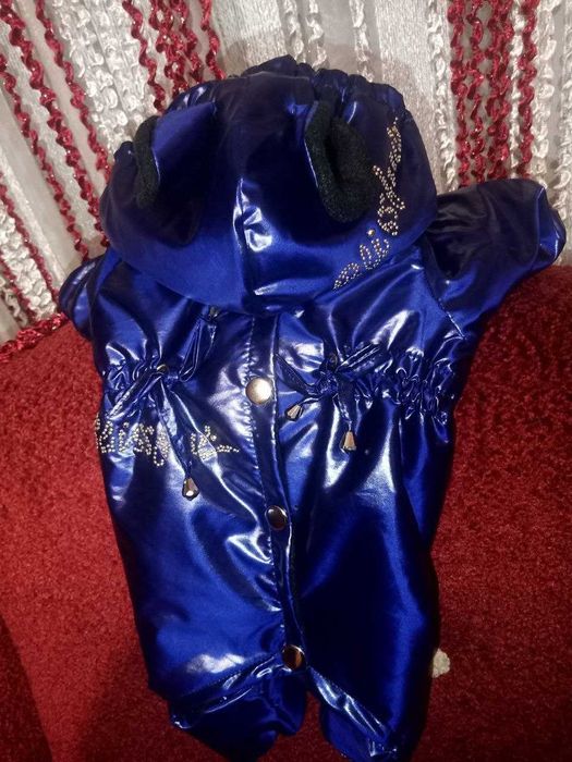 Одяг для собак та котів