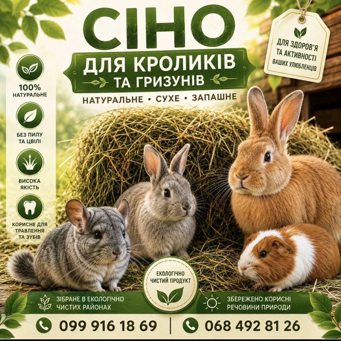 Продам Сіно для гризунів , кроликів , шиншил.