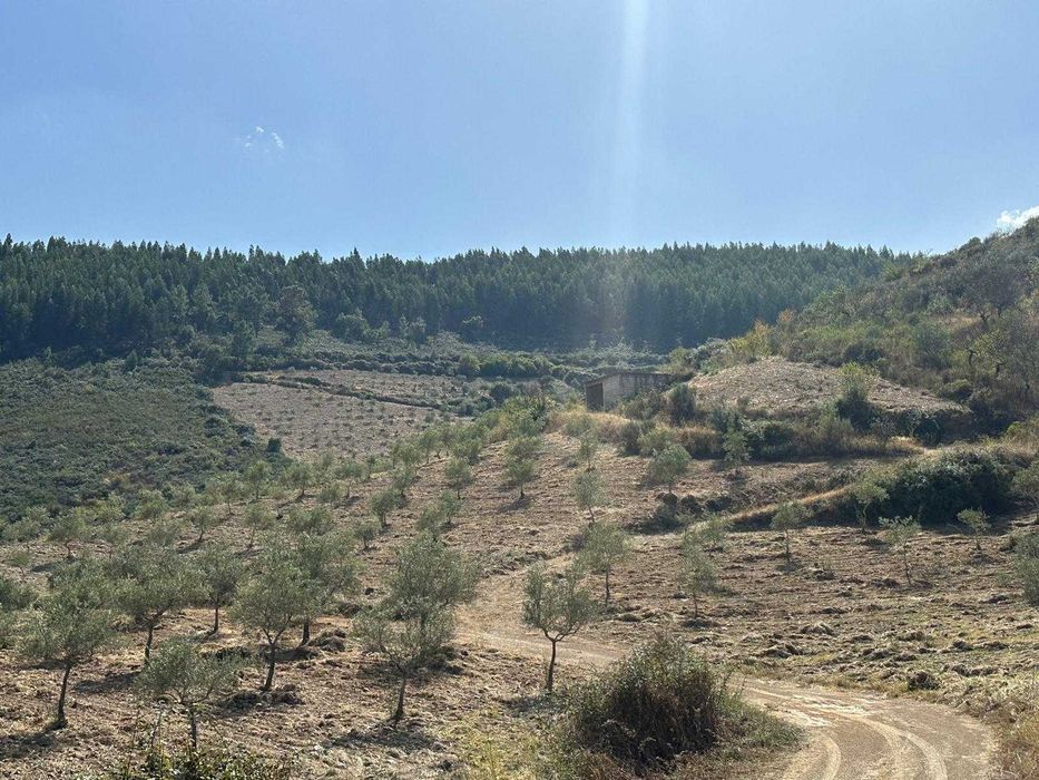 Terreno agrícola - 8,42 hectares