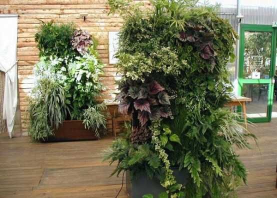 Reparação e manutenção de piscinas