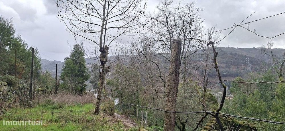 Terreno  Agrícola  Ecológico - Valdosende — Valdosende, Braga
