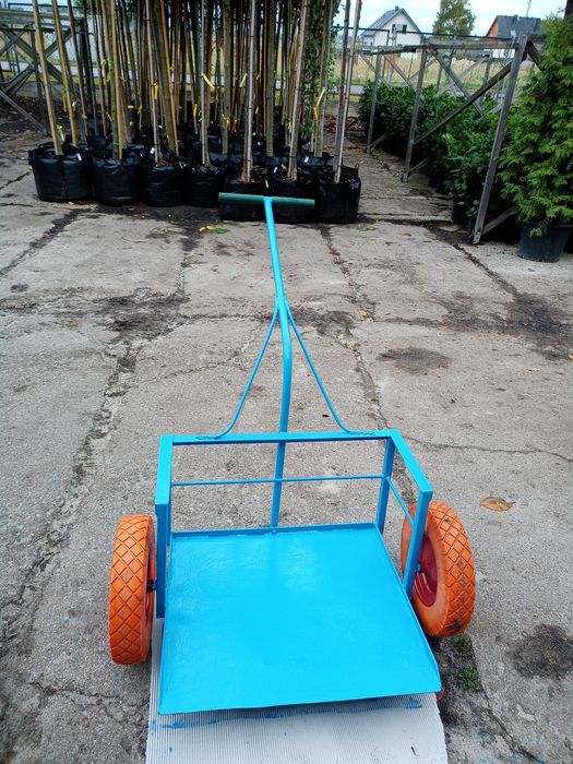 Wózek niskopodłogowy do przewozu donic itp.