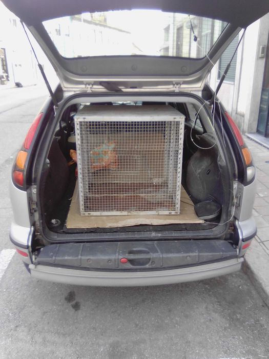 vendo Gaiola grande para pássaros