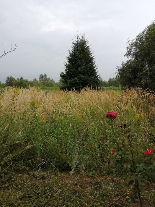 Działka ROD im. Kościuszki Sandomierz