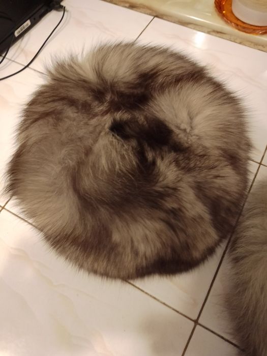 Czapka,toczek damski z lisa srebrnego,plus szalik.