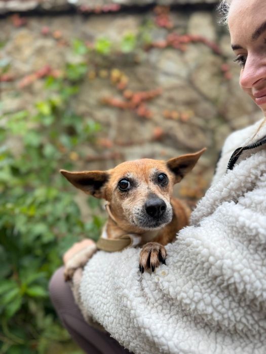 Babuszka do adopcji na dożycie