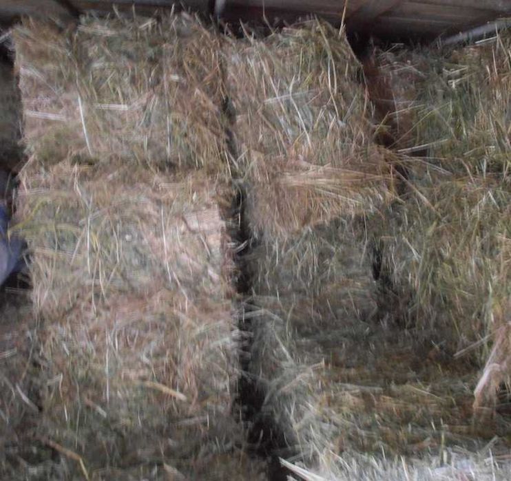 Сено разнотравие,в мешках и тюках 2025.Днепр. Возможна доставка