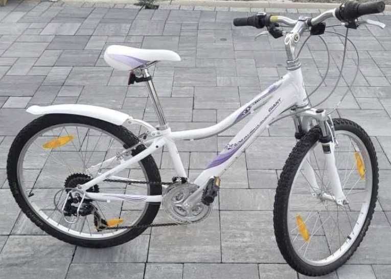 GIANT REVEL JR 24” (oklejony na niebiesko )