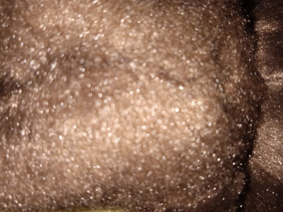 Брелок Лабубу новый