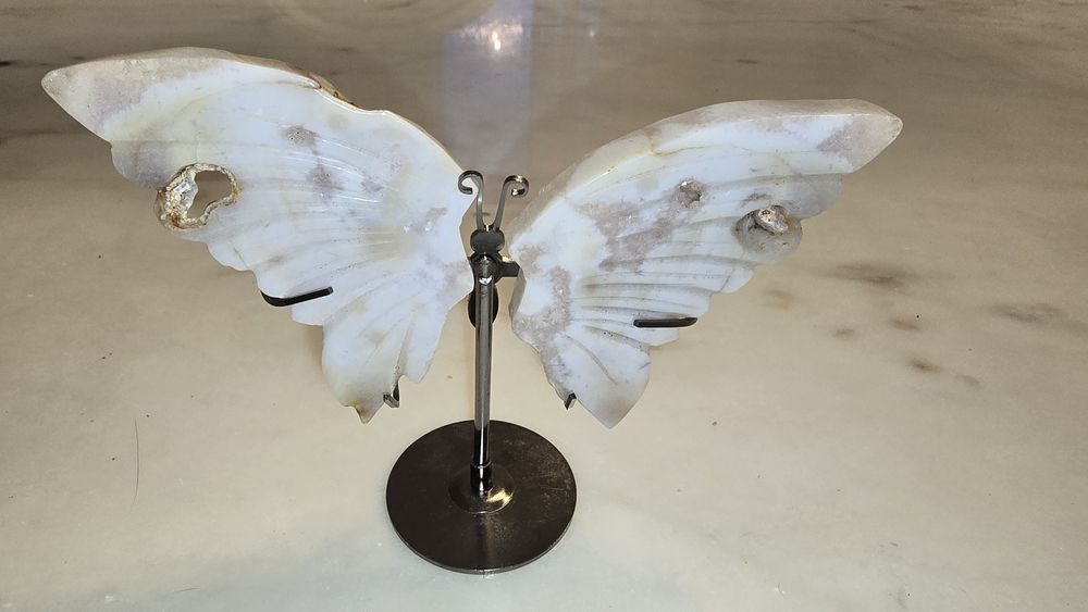 Borboleta agata flor