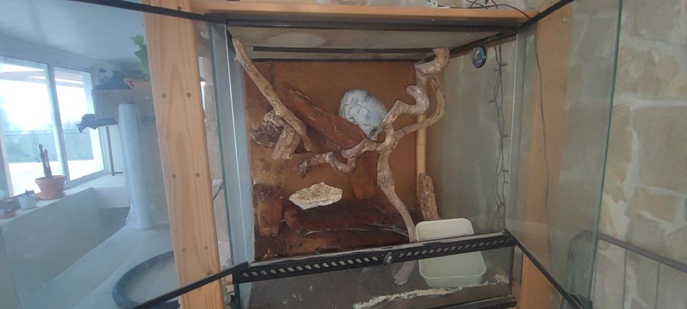 Terrario Exoterra 60x45x60