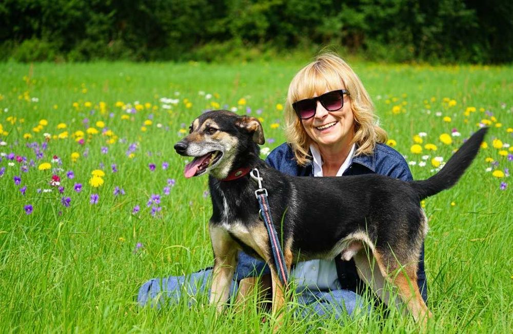 BURU - cudowny pies prosi o cudowny dom