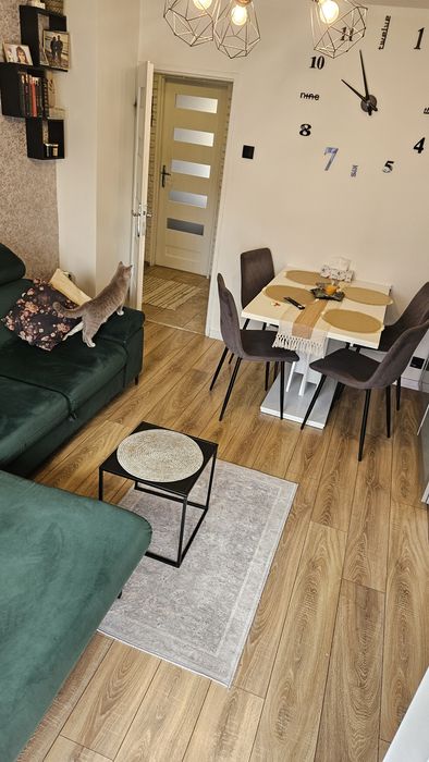 Apartment in Lubsko, Hynków, powiat żarski - Widok 5