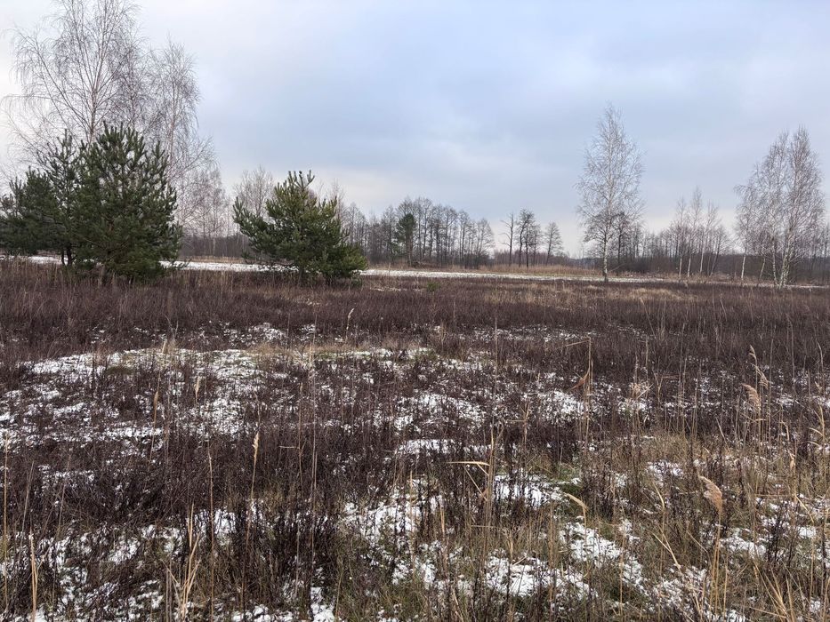 Działka Budowlana 2156m2