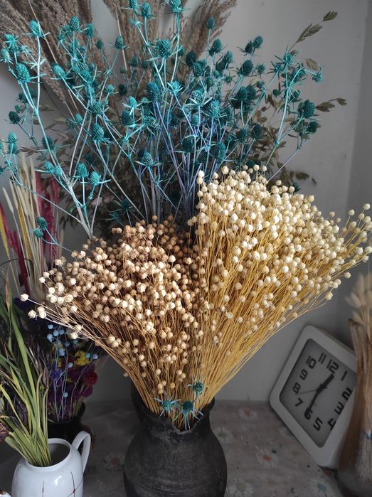 Сухоцвіти Льон.  Сухоцветы Просо кермек врсянка