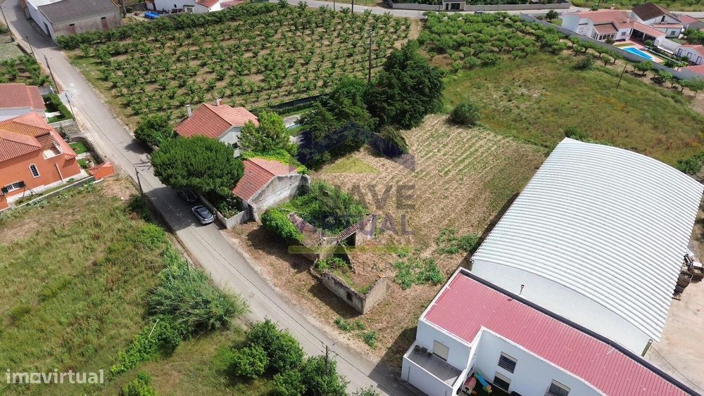 Terreno para Construção Delgada - Bombarral