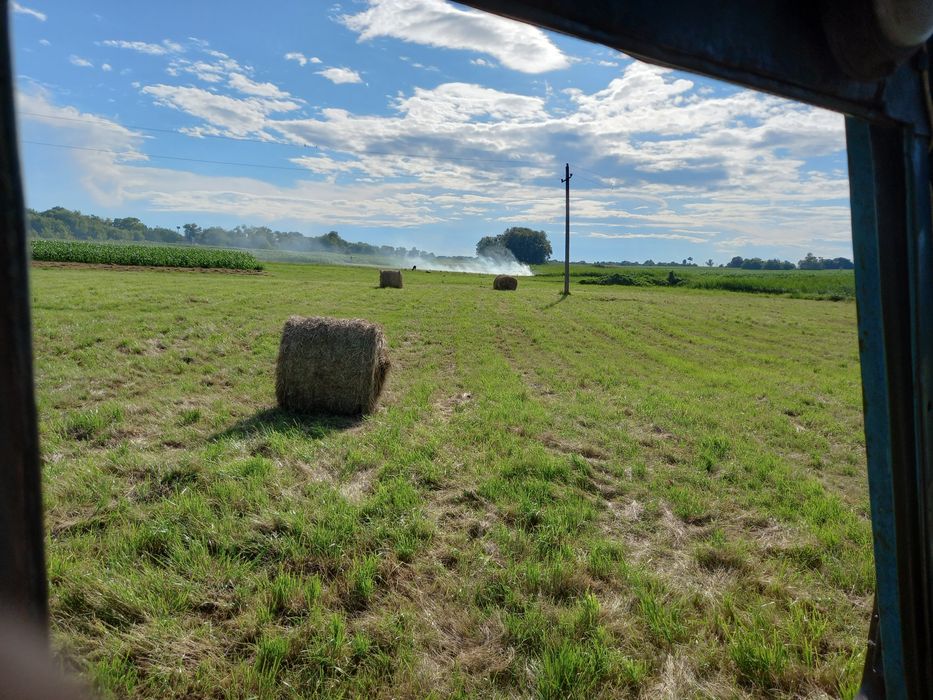 Продам сіно свіже в круглих тюках 2026г