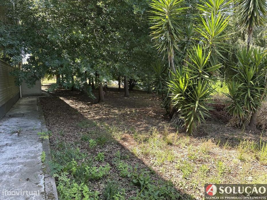Quinta de Figueiras - Agricultural Land