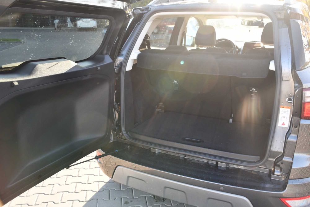 Ford Ecosport super