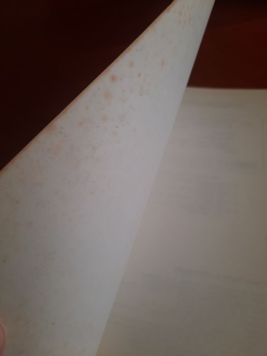 A medicina e o pobre Eymard Mourão Vasconcelos