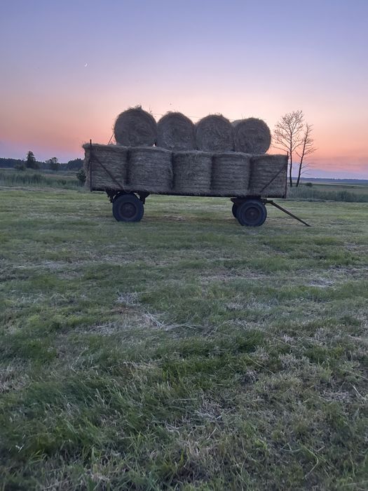 Siano i sianokiszonka