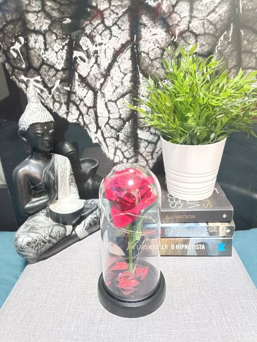 A Bela e o monstro Rosa eterna vermelha