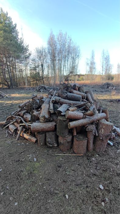 Drewno 400 zł za całość