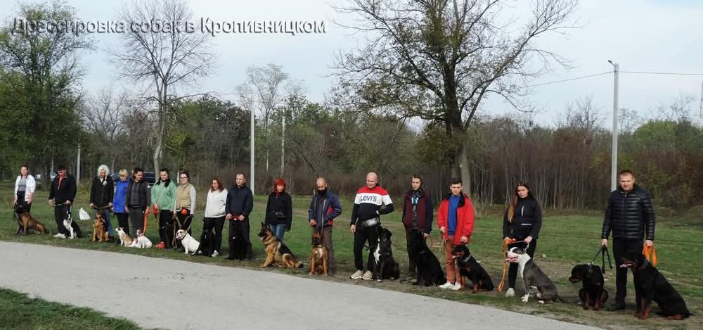 Професійний кінолог. Інструктор та суддя з робочих якостей КСУ