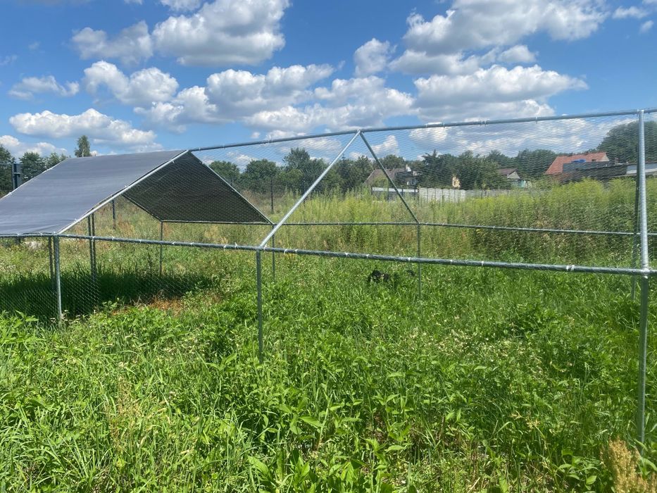 Vida XL klatka zewnętrzna dla kurcząt zlożona