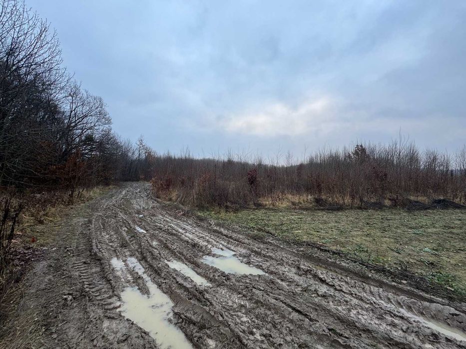 Продаж земельної ділянки в Якушинцях