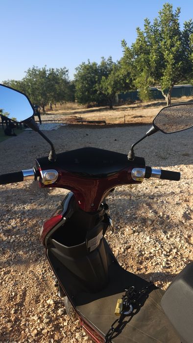 Mota eletrica Vespy Sky 250w