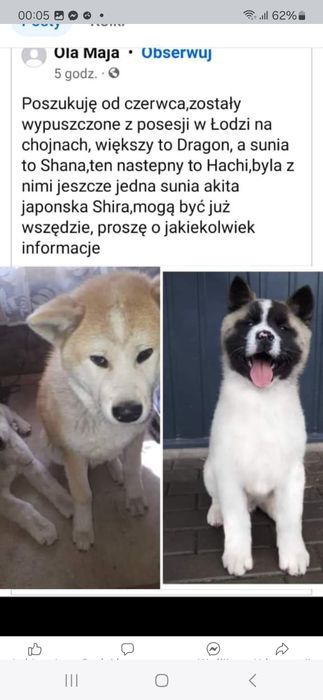 W dalszym ciągu szukam od 2023r