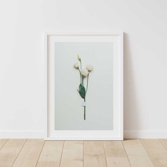 Plakat kwiatów! Kwiaty skandi skandynawski loft minimalizm szary