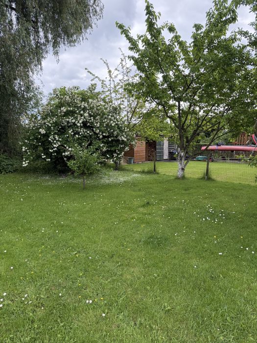 Rod Działka Wyspa Pucka - Widok 3