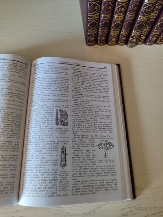 Encyklopedia XX wieku