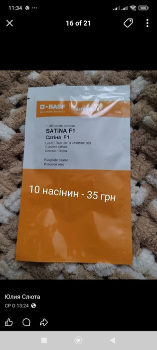 Насіння Нідерланди, голландське