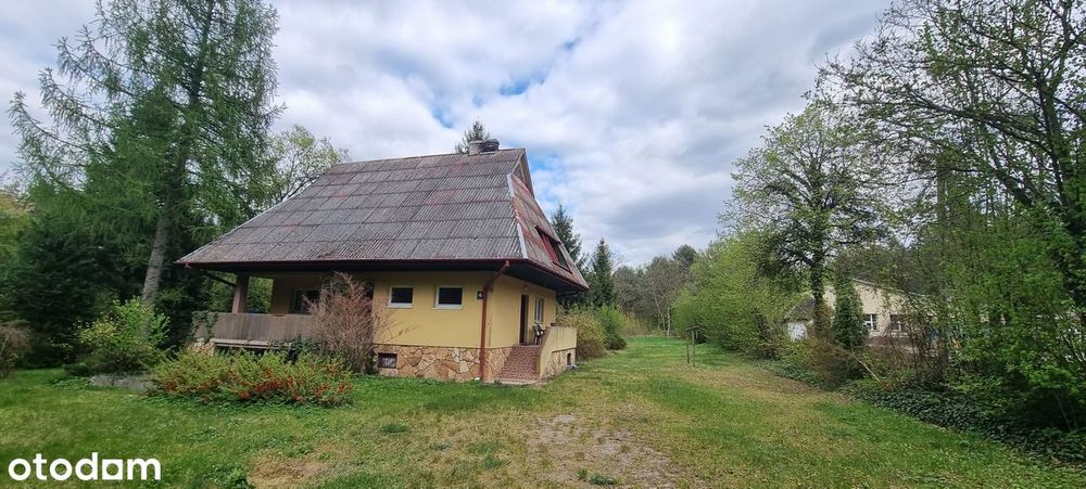 Kazimierz Dolny okolice | cena 690 tys.| duża działka z lasem