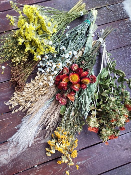 Suszone kwiaty, suszki, kocanka, mikołajek, suchołuska i inne