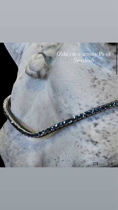 Naczółek Ps of Sweden