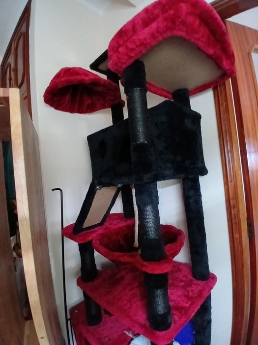 Arranhador torre gatos