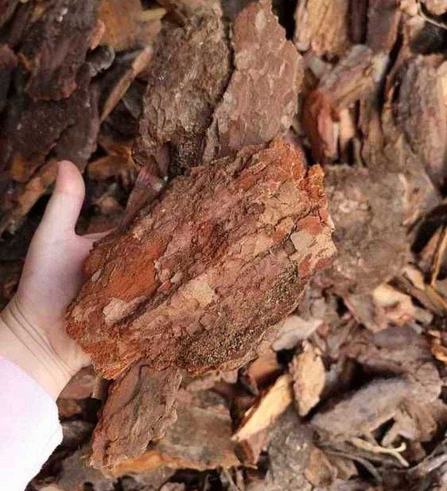 Kora sosnowa gruba, Średnia, drobna, ręcznie sortowana