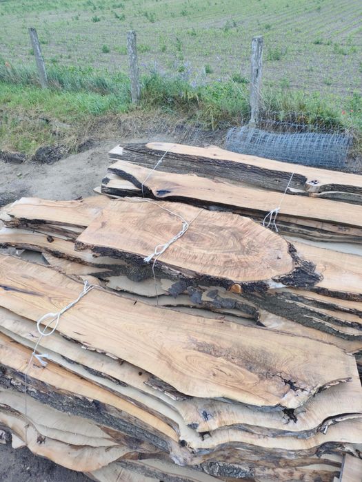 Duże plastry drzewa