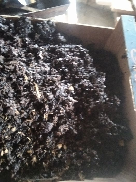 Продам мерву бджолину