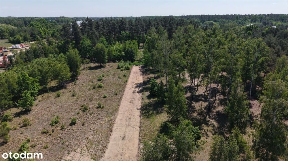 Działka leśna 3000 m² – Sochaczew, Wypalenisko