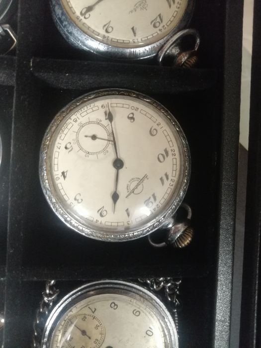 Kolekcja Molni Molnia zegarki